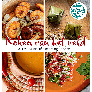Koken van het veld (wereldgerechten in een handomdraai)