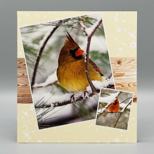 Wenskaarten; Winterkaarten, 5 verschillende kaarten
