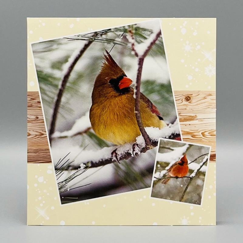 Wenskaarten; Winterkaarten, 5 verschillende kaarten