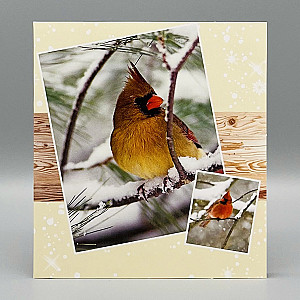 Wenskaarten; Winterkaarten, 5 verschillende kaarten
