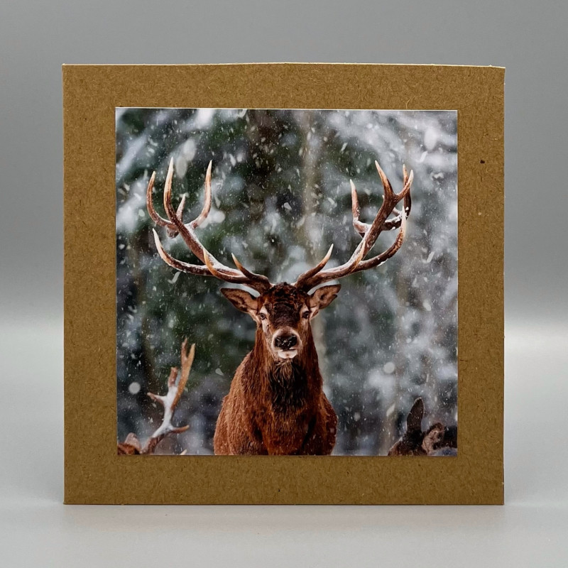 Fotokaarten Winter (kraft); 5 verschillende kaarten