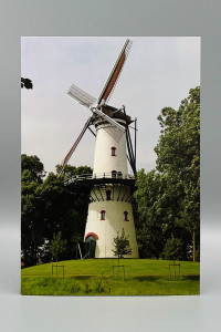 Wenskaarten Blanco (man); 5 verschillende kaarten
