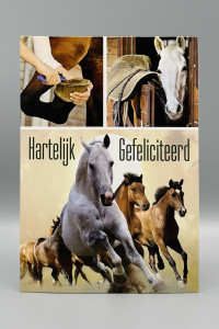 Wenskaarten Gefeliciteerd (mix J/M); 5 verschillende kaarten