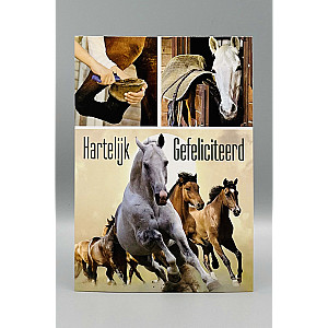 Wenskaarten Gefeliciteerd (mix J/M); 5 verschillende kaarten