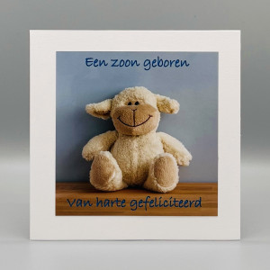 Fotokaarten Geboorte (mix D/Z); 5 verschillende kaarten