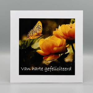 Fotokaarten Gefeliciteerd (mix M/V); 5 verschillende kaarten