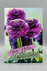 Wenskaarten Gefeliciteerd (vrouw); 5 verschillende kaarten