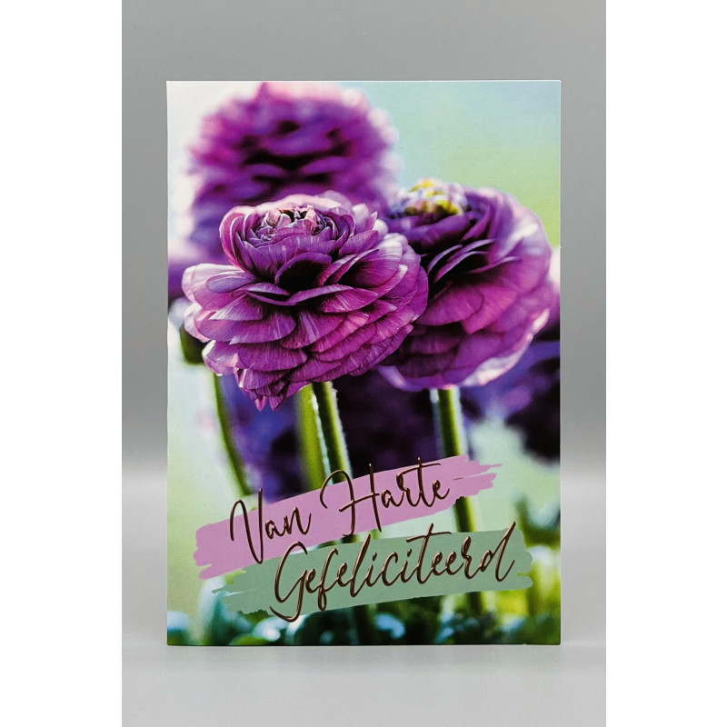 Wenskaarten Gefeliciteerd (vrouw); 5 verschillende kaarten