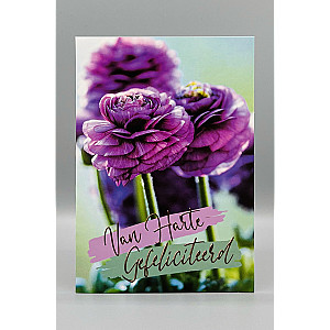 Wenskaarten Gefeliciteerd (vrouw); 5 verschillende kaarten