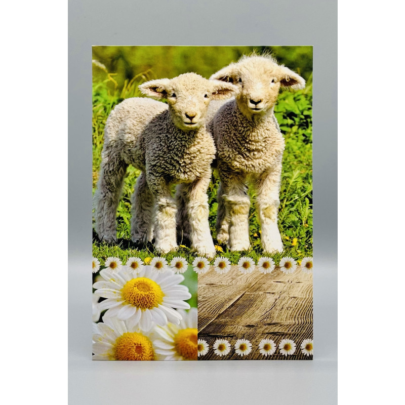 Wenskaarten Blanco (meisje); 5 verschillende kaarten