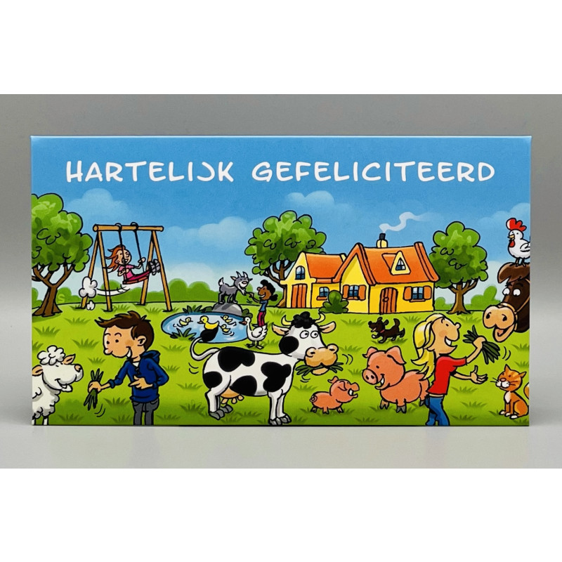 Cadeau envelop 3; per stuk