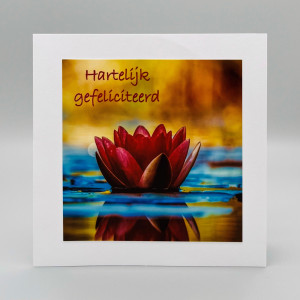 Fotokaarten Gefeliciteerd (vrouw); 5 verschillende kaarten