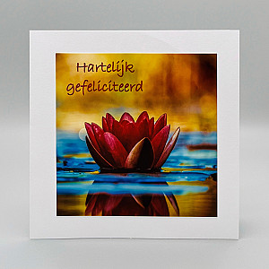 Fotokaarten Gefeliciteerd (vrouw); 5 verschillende kaarten