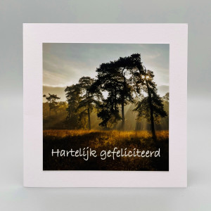 Fotokaarten Gefeliciteerd (man); 5 verschillende kaarten