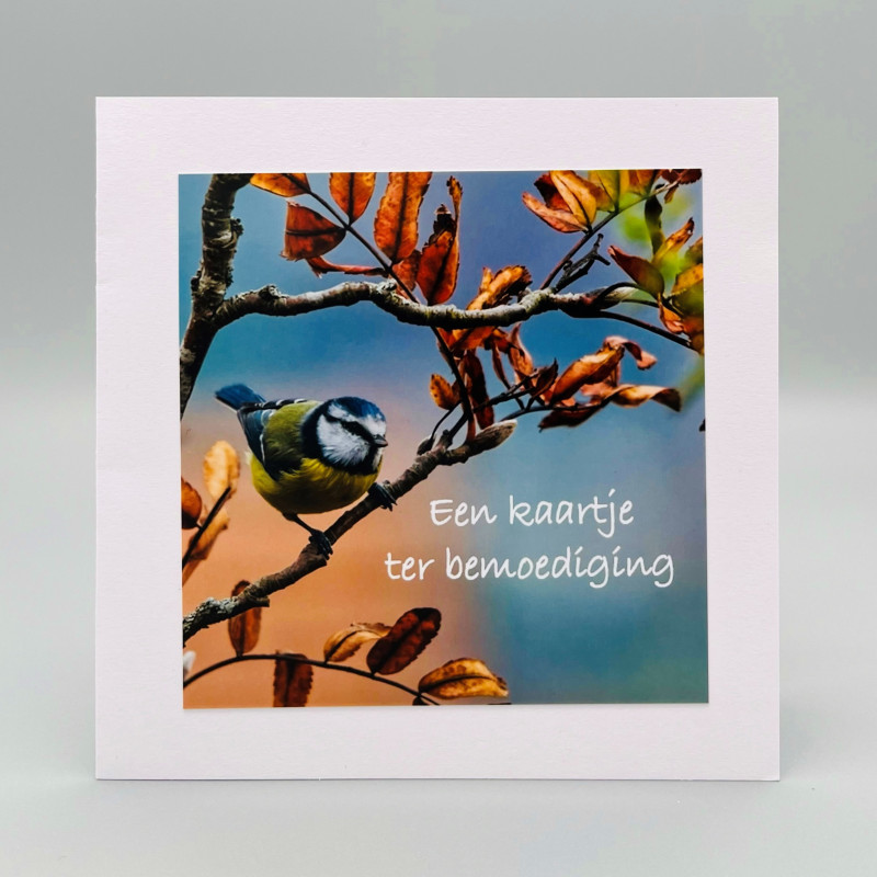 Fotokaarten Sterkte/Ter bemoediging (man); 5 verschillende kaarten