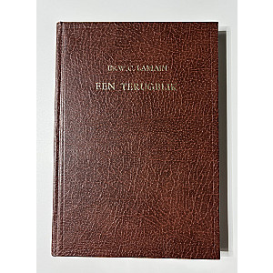 Een terugblik; Ds. W.C. Lamain