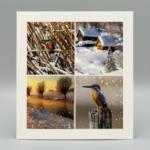 Wenskaarten Winter;  5 verschillende kaarten