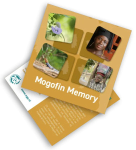 Mogofin Memory