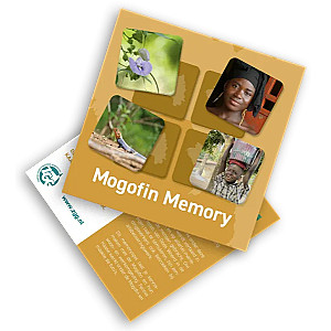 Mogofin Memory