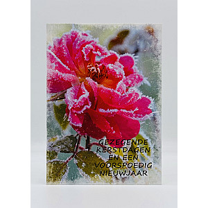 Dubbele Kerstkaarten "Gezegende Kerstdagen": 5 verschillende