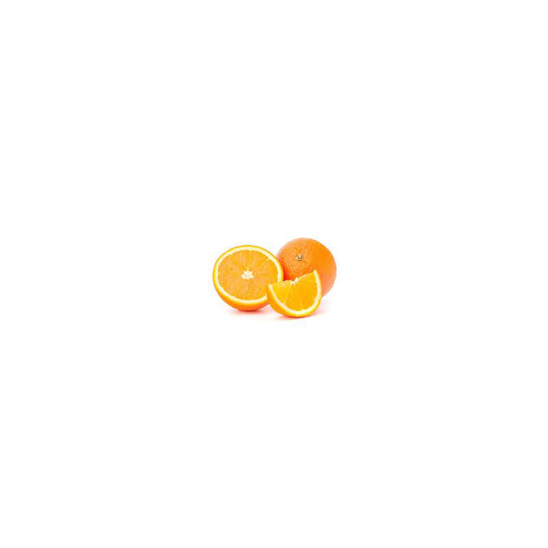 Sinaasappel-hand