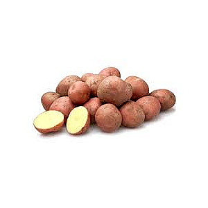 Bildstar aardappelen