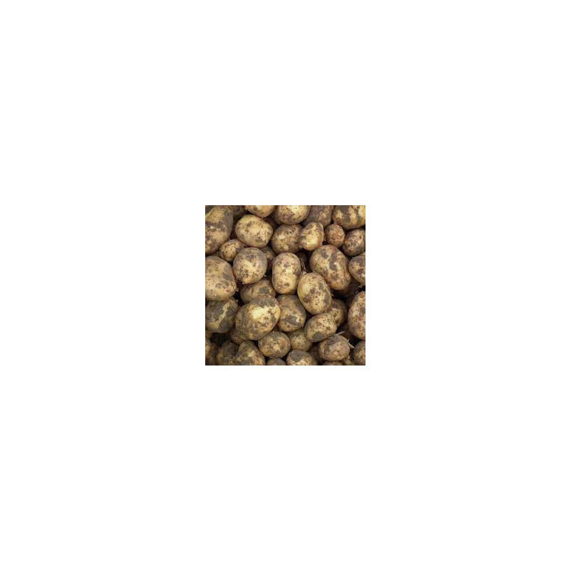 Bintjes aardappelen