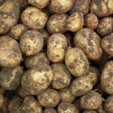 Bintjes aardappelen