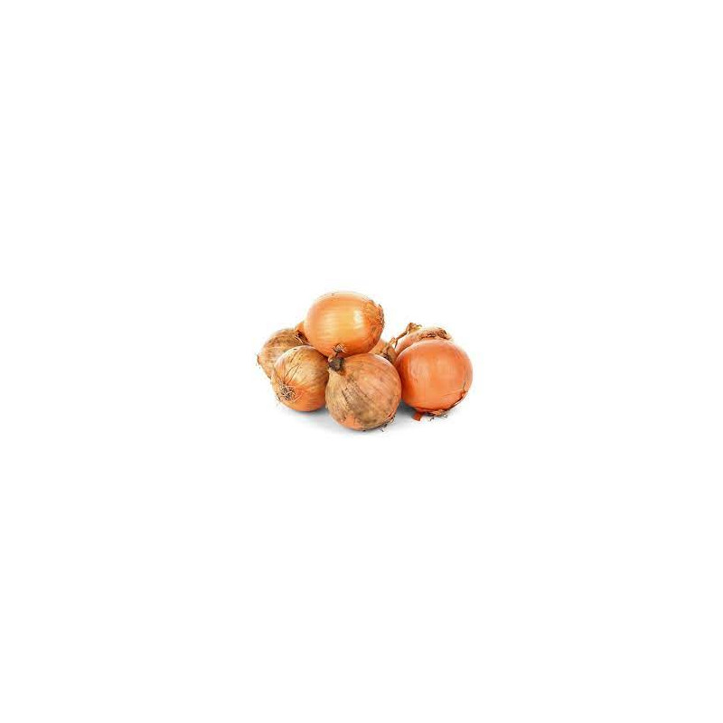 Uien (5 kg)